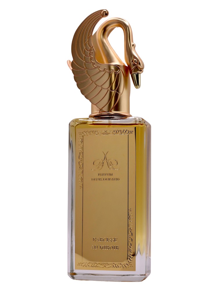 Narcisse au Miroir