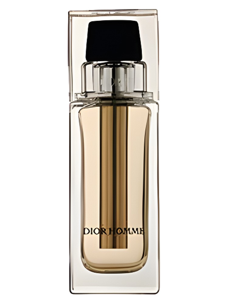 Dior Homme Voyage