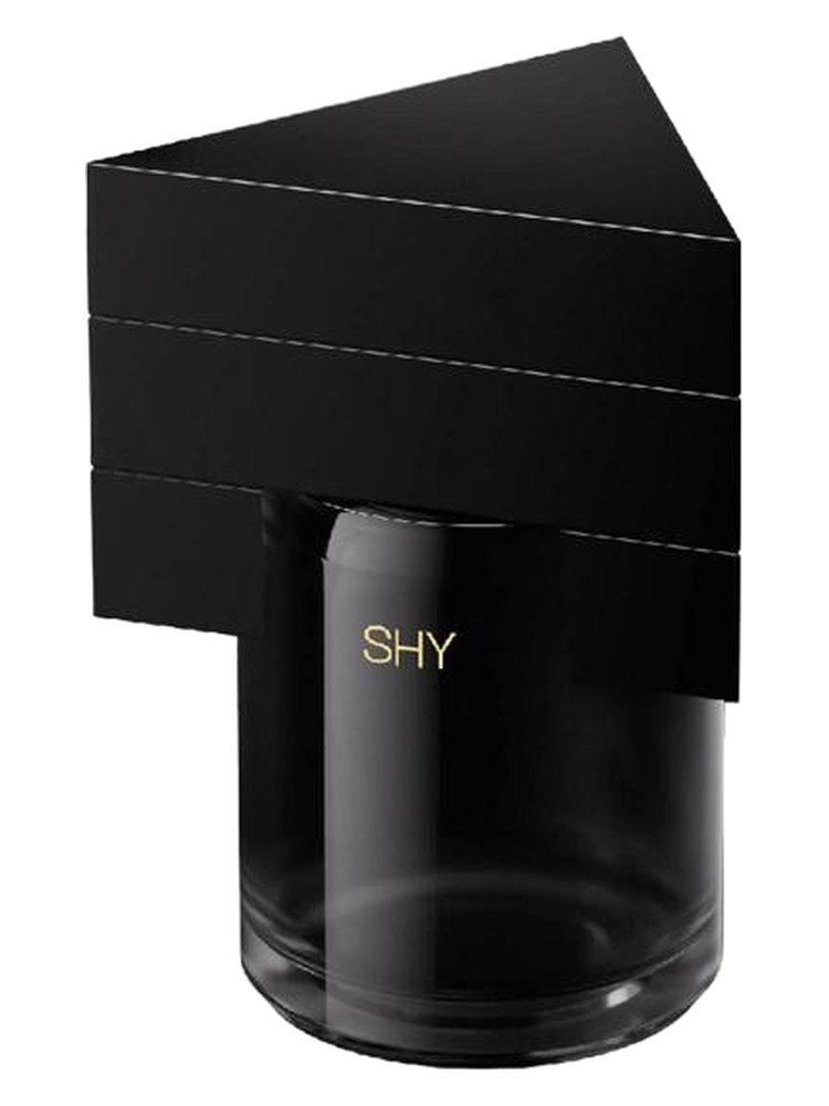 Shy 腹语之术
