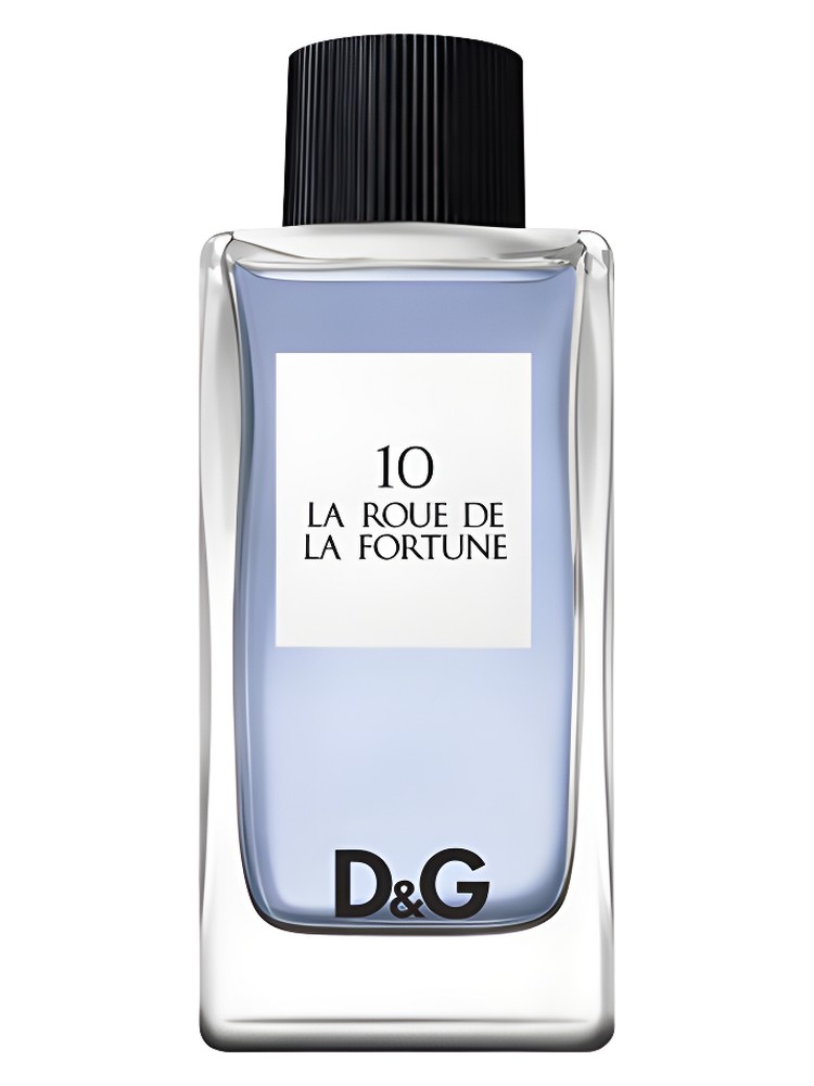 D&G Anthology La Roue de La Fortune 10