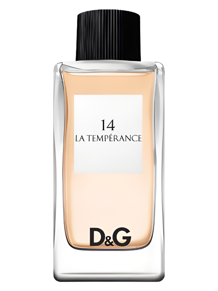 D&G Anthology La Temperance 14