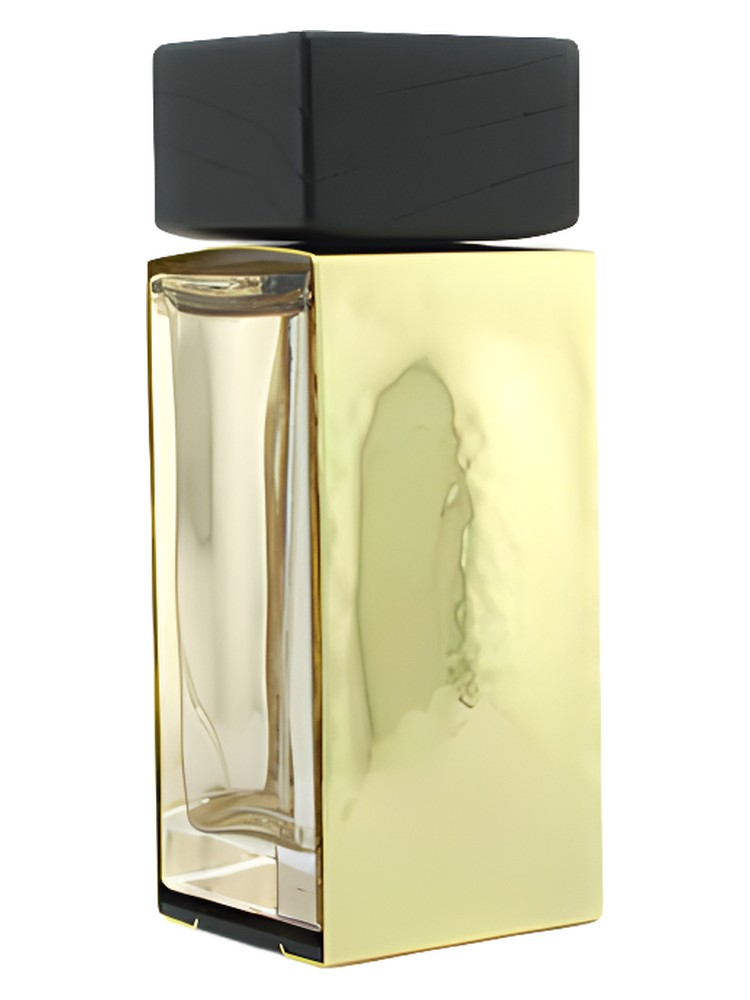 Donna Karan Gold