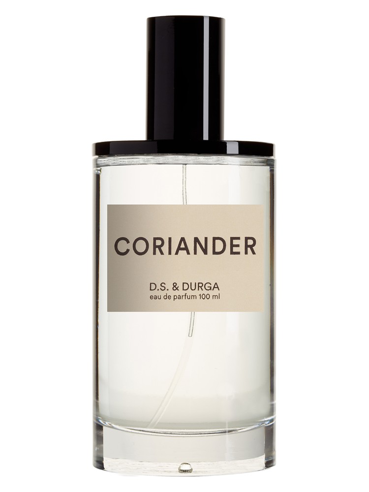 Coriander