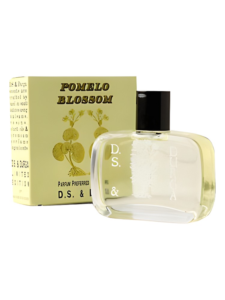 Pomelo Blossom