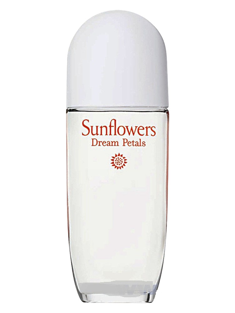 Sunflowers Dream Petals