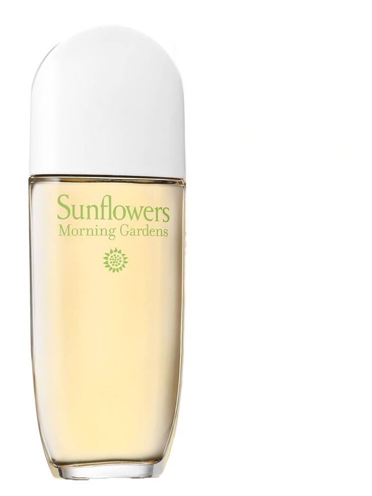 Sunflowers Morning Gardens