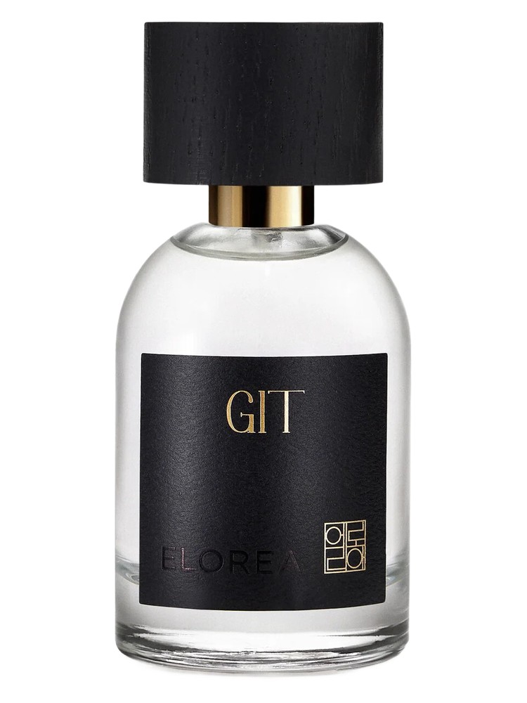 GIT (깃)
