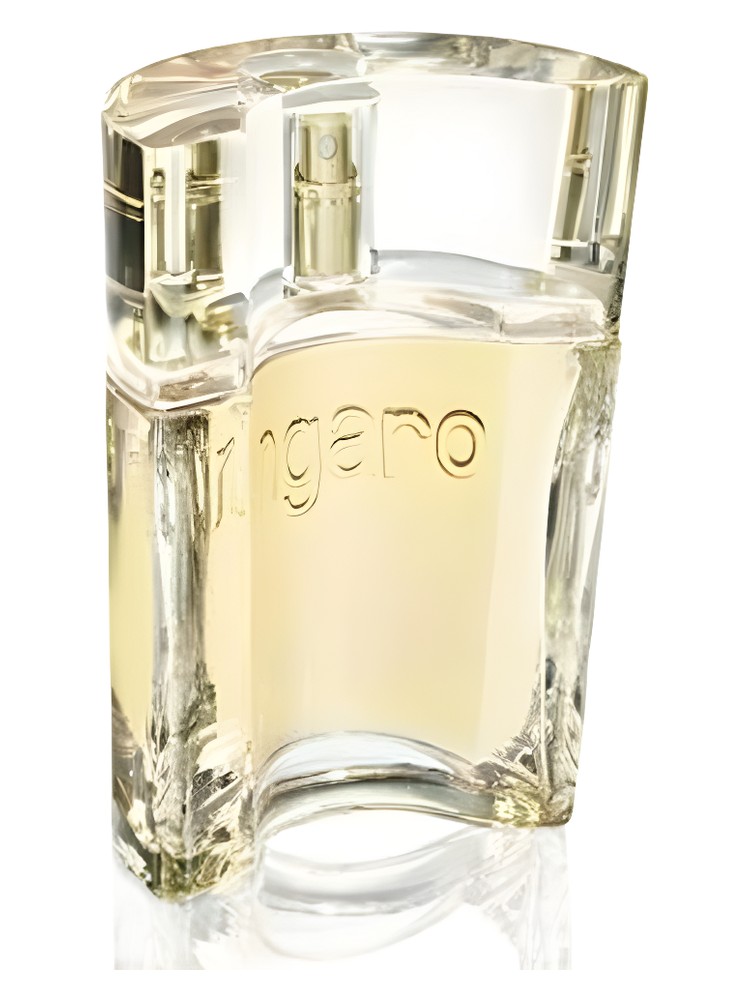 Ungaro 2007