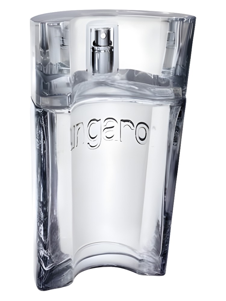Ungaro Man
