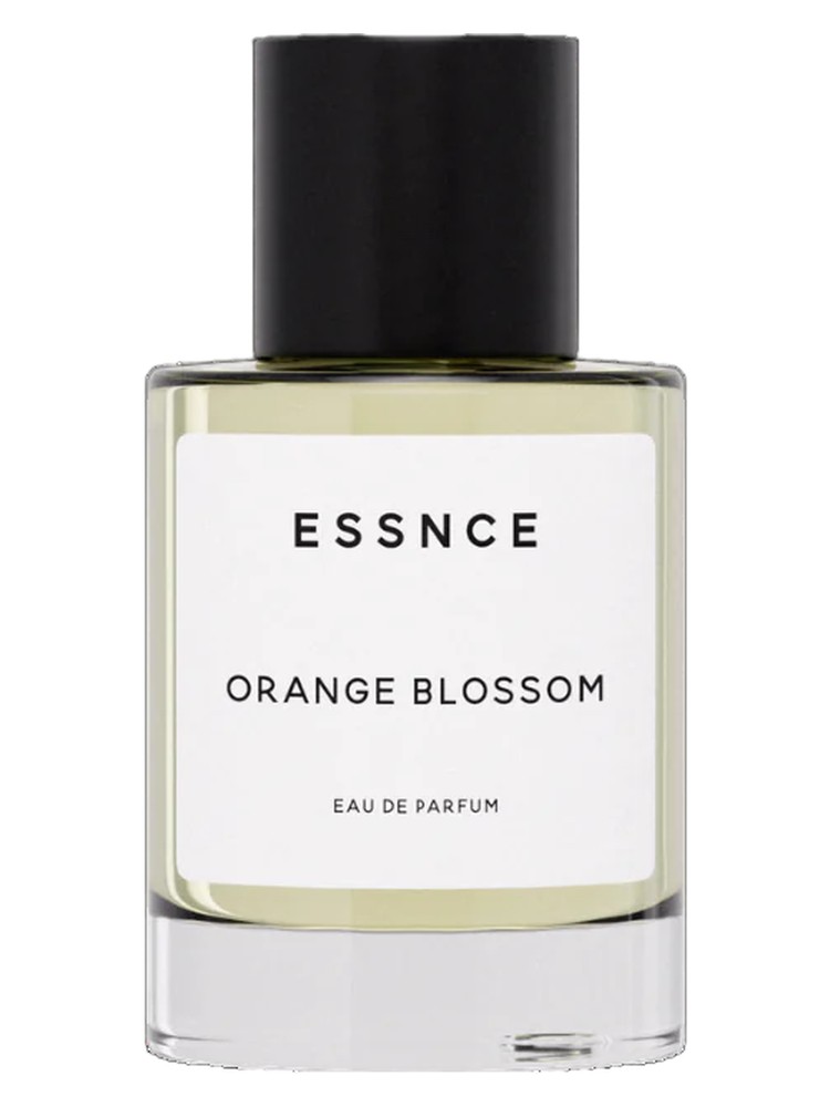 Orange Blossom