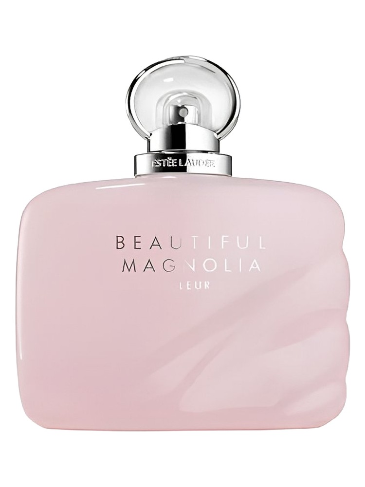 Beautiful Magnolia Fleur
