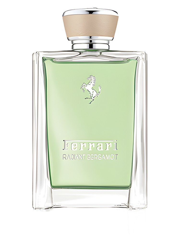 Radiant Bergamot