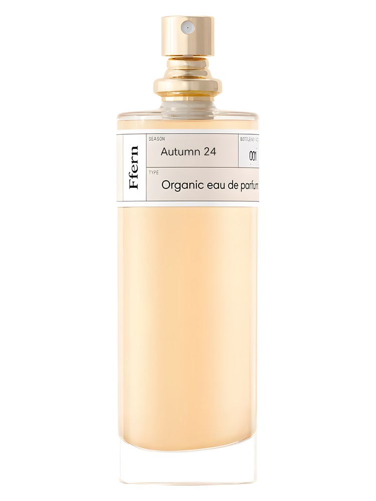 Autumn 24