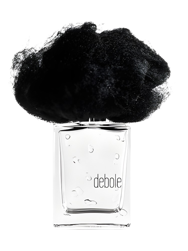 Pioggia Debole