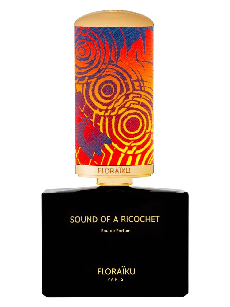 Sound of a Ricochet