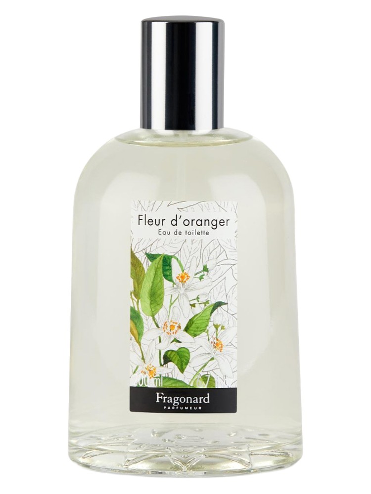 Fleur d'oranger