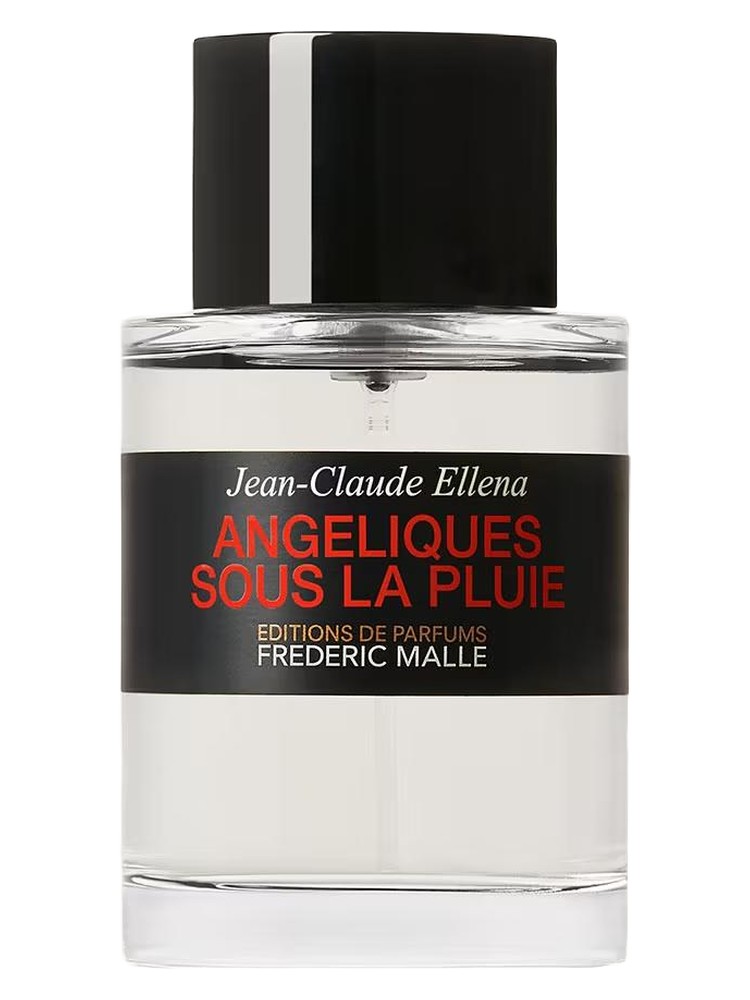 Angéliques Sous La Pluie