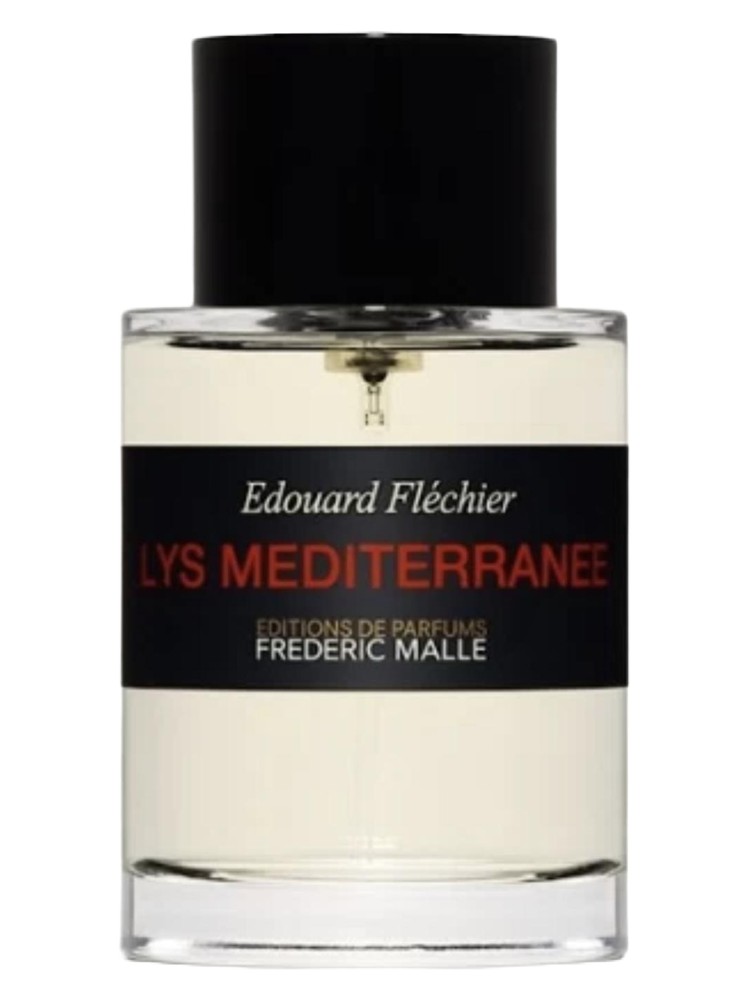 Lys Mediterranee