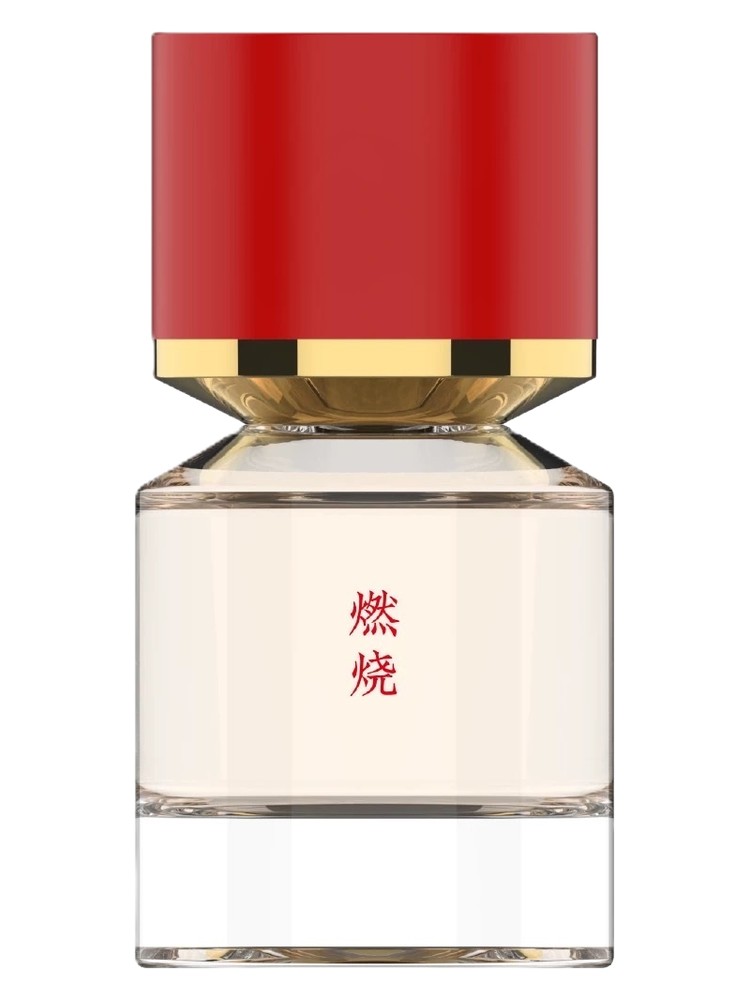 Burning 燃烧