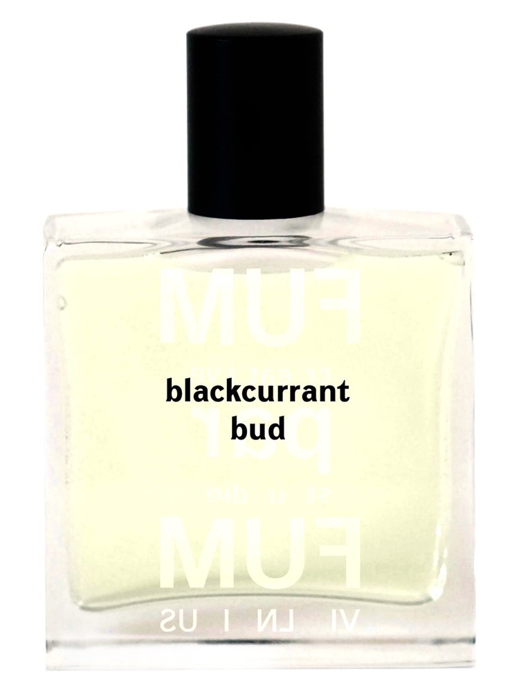 Blackcurrant Bud