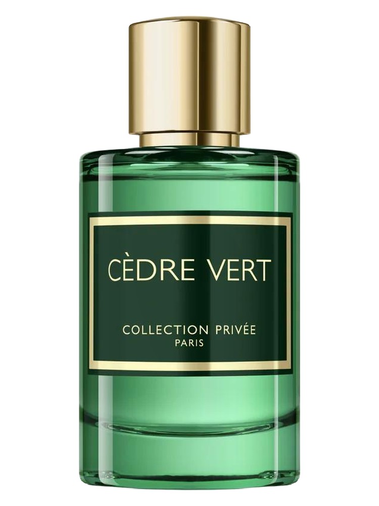 Cèdre Vert