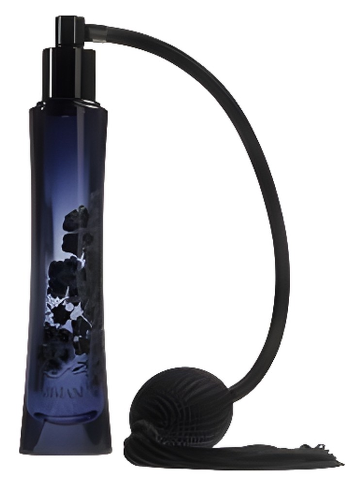 Armani Code Elixir