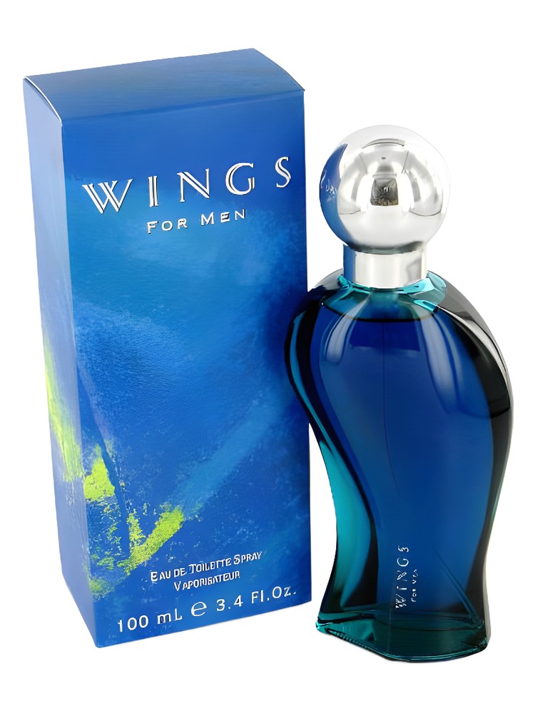 Wings for Men