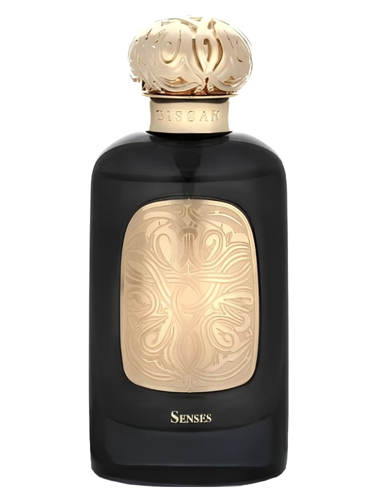 Senses
