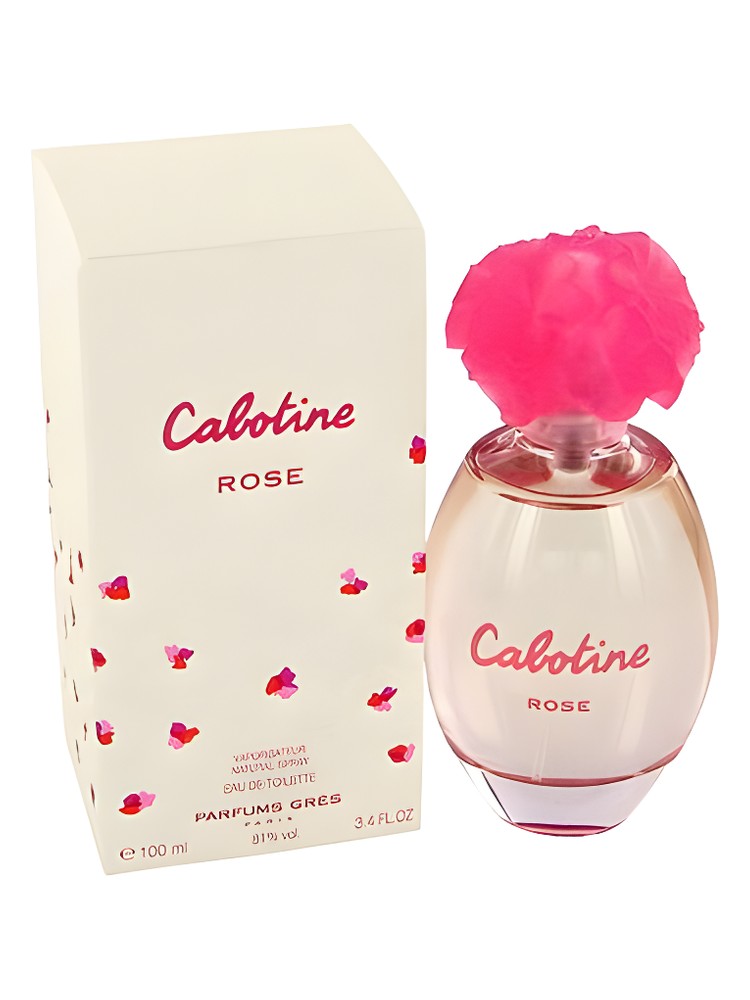 Cabotine Rose