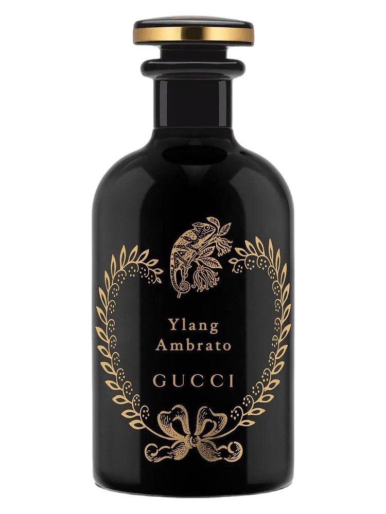 Ylang Ambrato