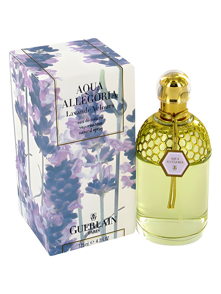 Aqua Allegoria Lavande Velours