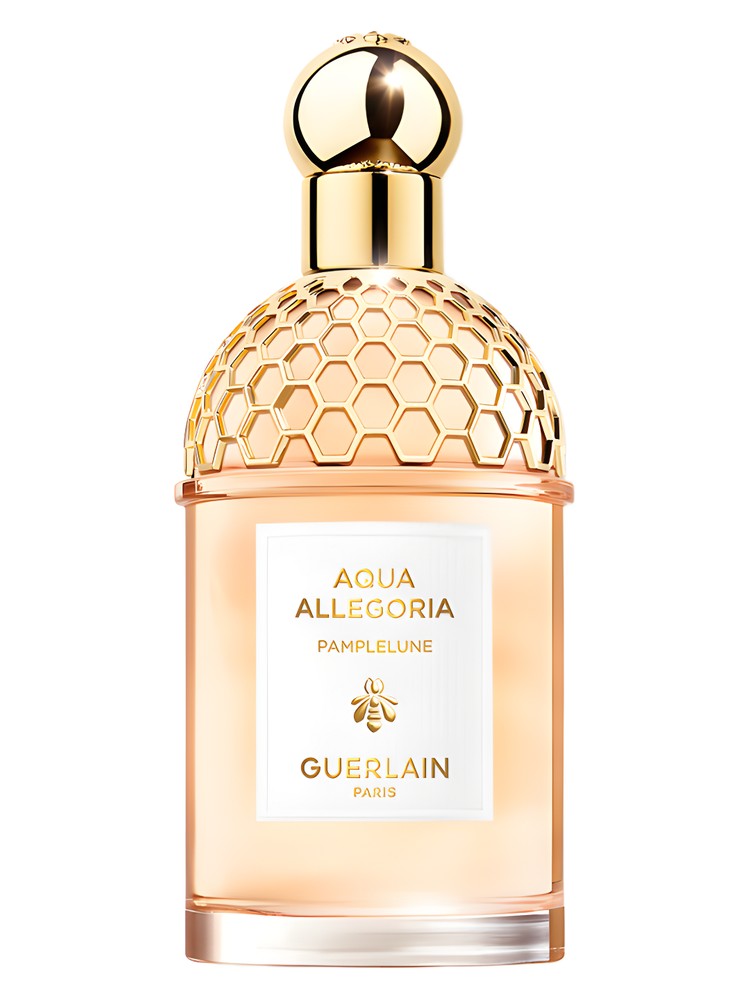 Aqua Allegoria Pamplelune