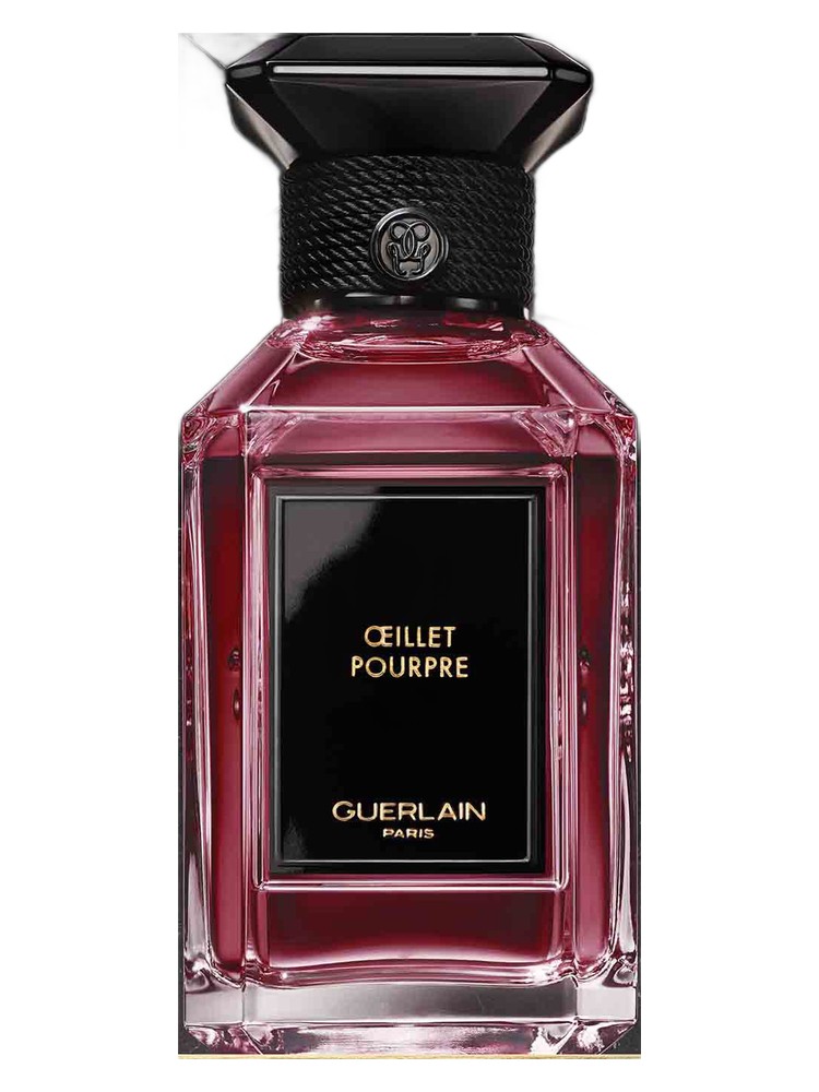 Oeillet Pourpre