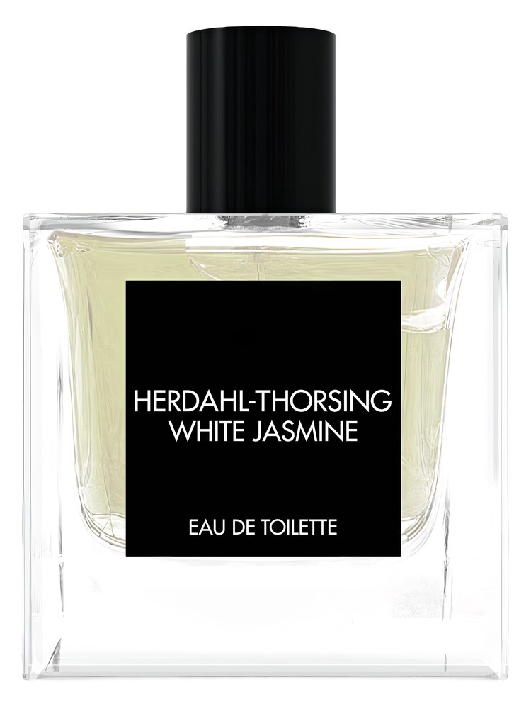 White Jasmine