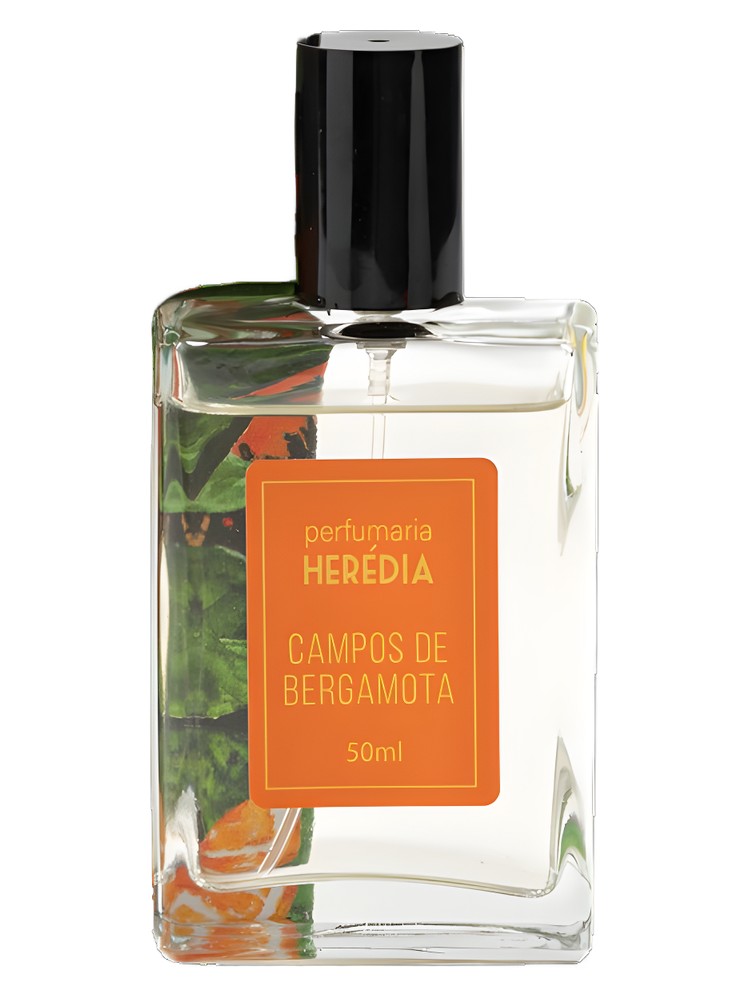 Campos de Bergamota