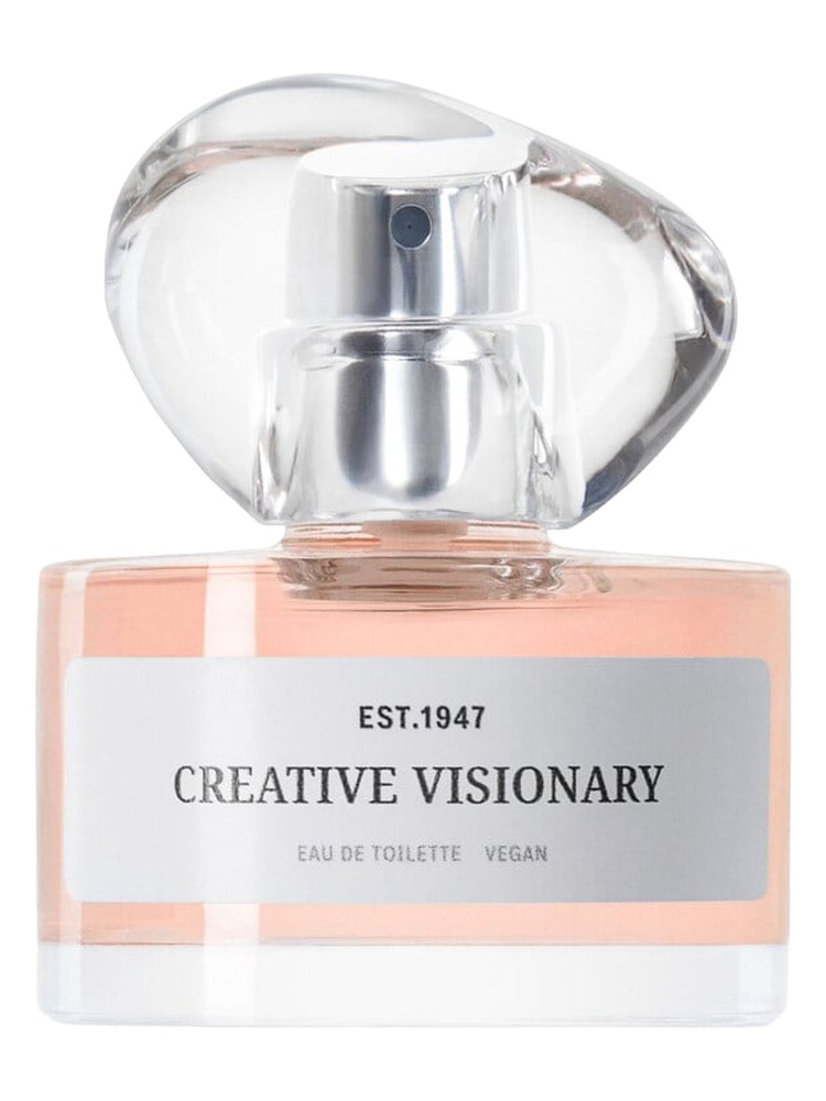 Creative Visionary