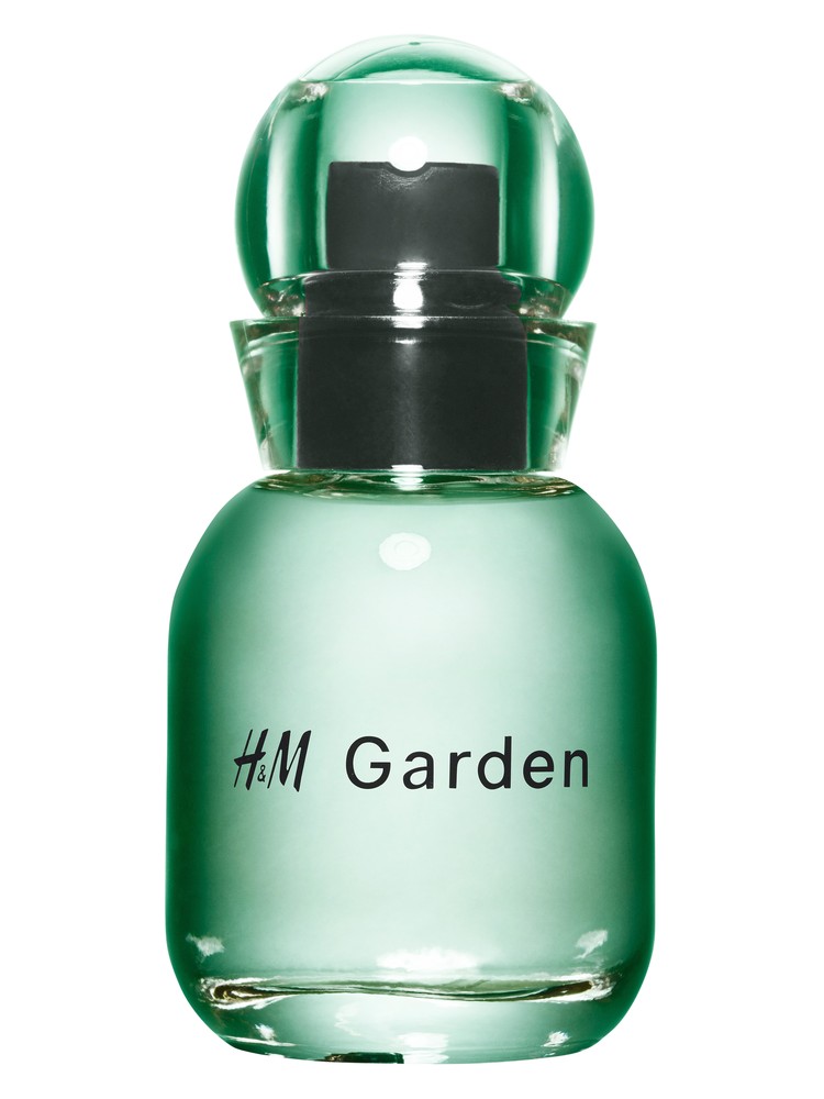 H&M Garden - Sunlit dew