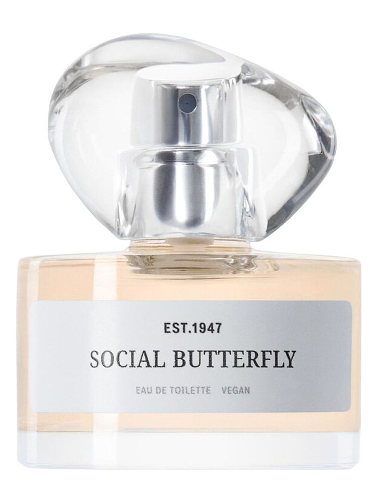 Social Butterfly
