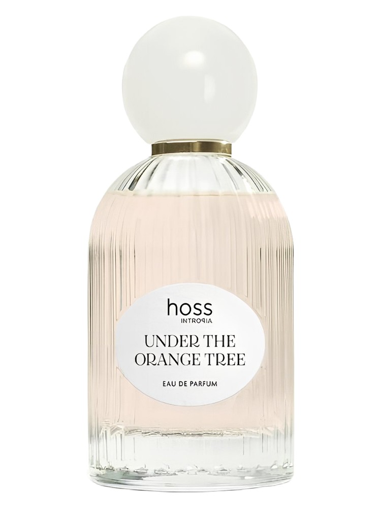 Under The Orange Tree