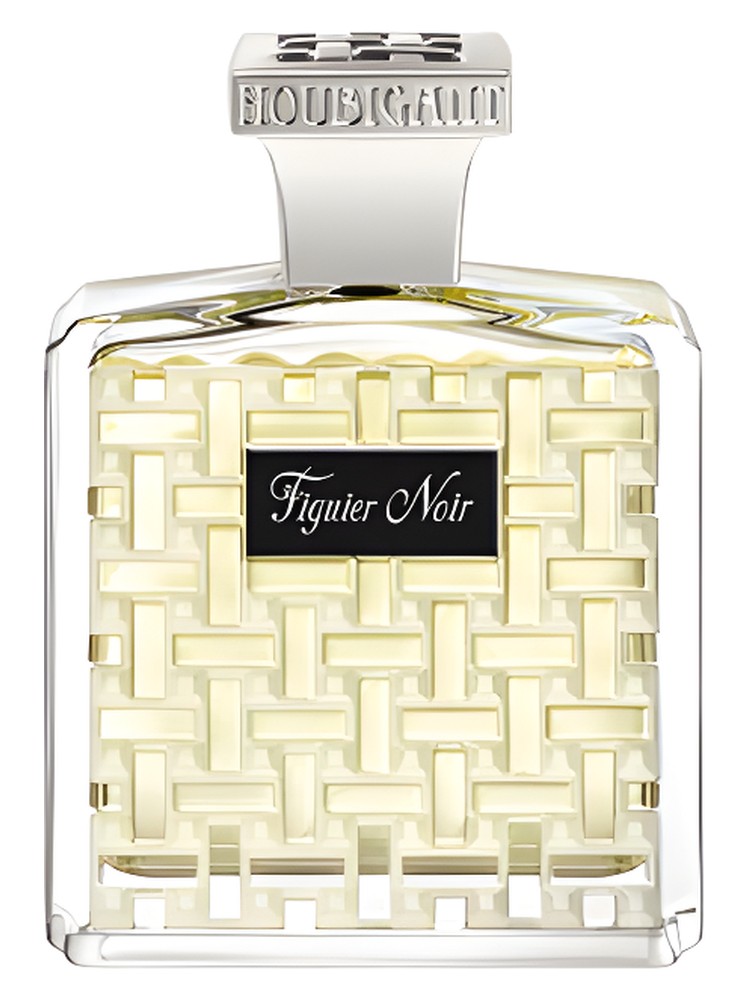 Figuier Noir