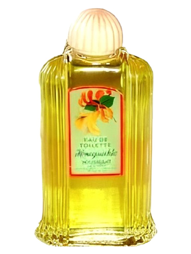 Honeysuckle