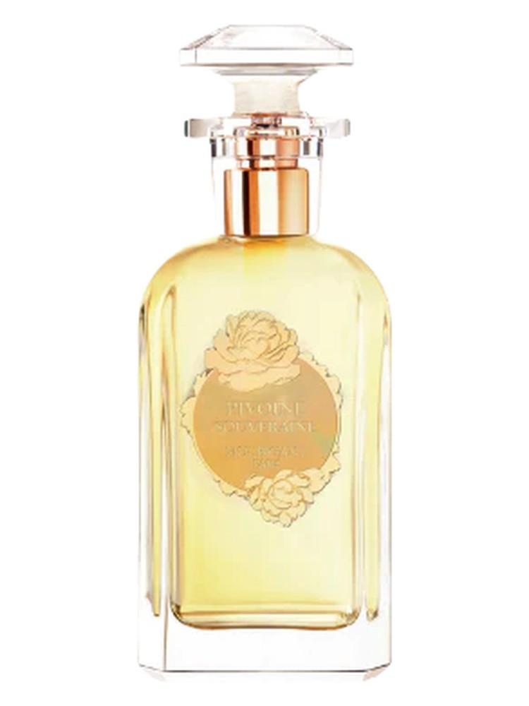 Pivoine Souveraine