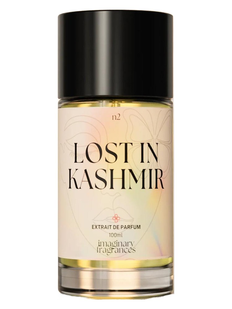 Lost In Kashmir