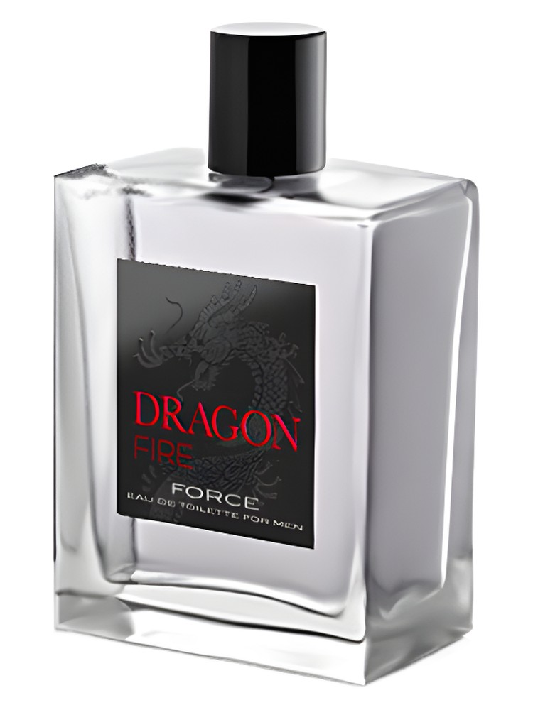 Dragon Fire Force