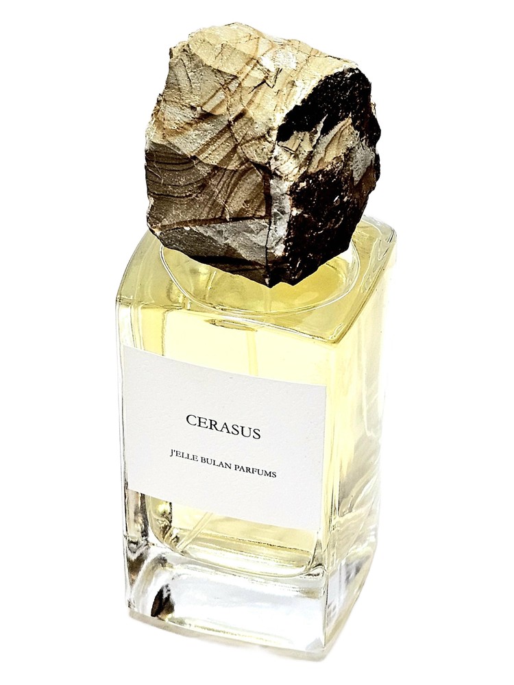 Cerasus