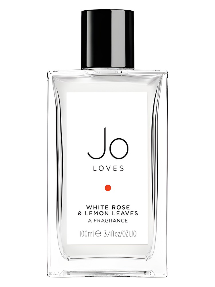 White Rose & Lemon Leaves