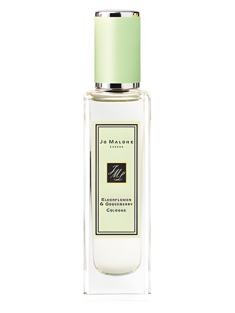 Elderflower & Gooseberry