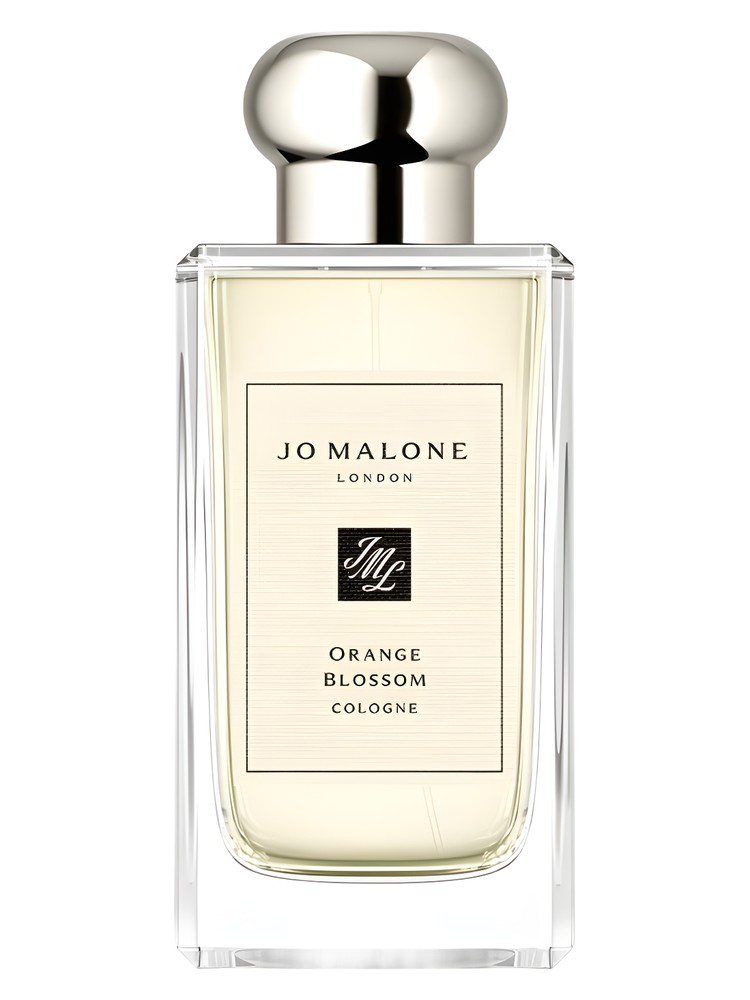 Orange Blossom