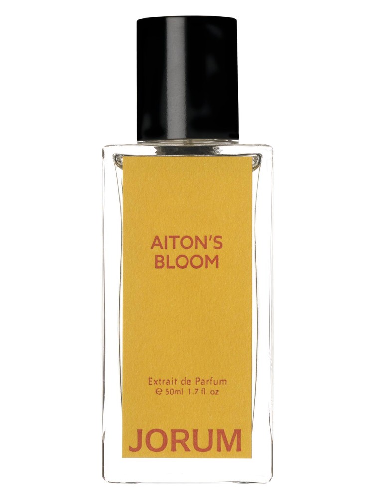 Aiton's Bloom