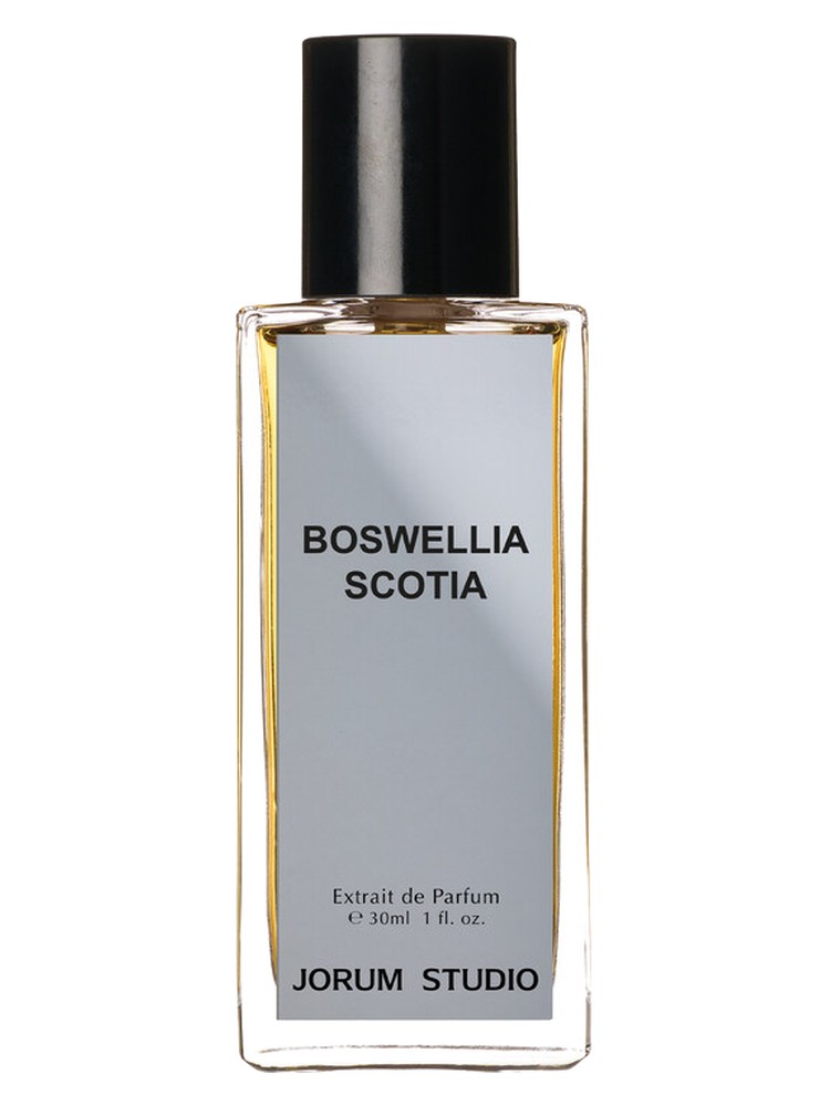 Boswellia Scotia